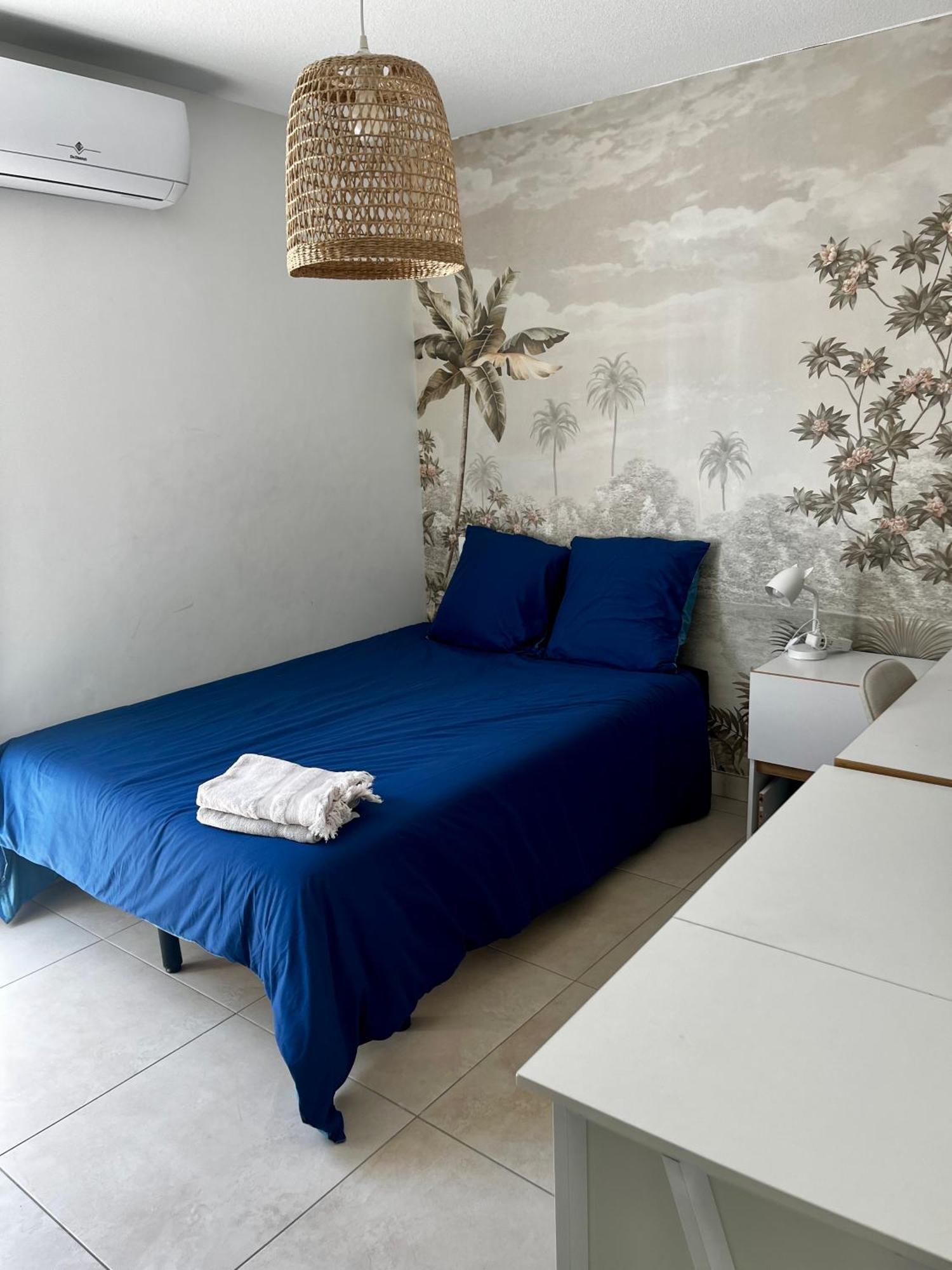 proche Montpellier et plages duplex 3ch centre-ville 2 parkings Villeneuve-lès-Maguelone Extérieur photo